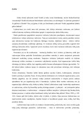 Lyderio kompetencijos 2 puslapis