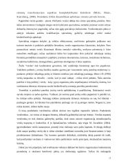 Lyderio kompetencijos 13 puslapis