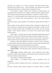 Lyderio kompetencijos 3 puslapis
