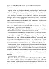 Lyderio kompetencijos 5 puslapis