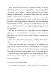 Lyderio kompetencijos 9 puslapis