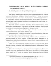 Administracinės bylos užsieniečių kaip proceso dalyvių teisinę padėtį sąlygojantys veiksniai 7 puslapis