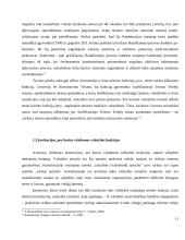 Konstitucinio principo „Valdžios įstaigos tarnauja žmonėms“ teoriniai aspektai 11 puslapis