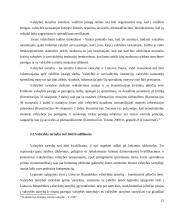 Konstitucinio principo „Valdžios įstaigos tarnauja žmonėms“ teoriniai aspektai 15 puslapis