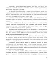 Konstitucinio principo „Valdžios įstaigos tarnauja žmonėms“ teoriniai aspektai 20 puslapis