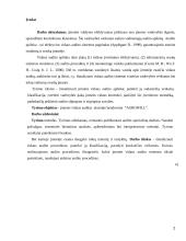 Vidaus audito organizavimas įmonėje "Agriwill" 2 puslapis