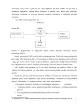 Vidaus audito organizavimas įmonėje "Agriwill" 11 puslapis
