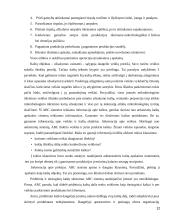 Vidaus audito organizavimas įmonėje "Agriwill" 12 puslapis