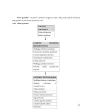 Vidaus audito organizavimas įmonėje "Agriwill" 14 puslapis