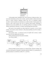 Vidaus audito organizavimas įmonėje "Agriwill" 15 puslapis