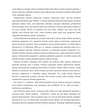 Vidaus audito organizavimas įmonėje "Agriwill" 18 puslapis