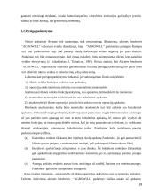 Vidaus audito organizavimas įmonėje "Agriwill" 19 puslapis