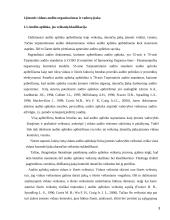 Vidaus audito organizavimas įmonėje "Agriwill" 3 puslapis