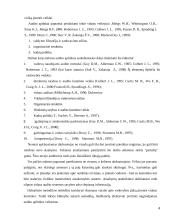 Vidaus audito organizavimas įmonėje "Agriwill" 4 puslapis