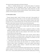 Vidaus audito organizavimas įmonėje "Agriwill" 7 puslapis