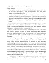 Vidaus audito organizavimas įmonėje "Agriwill" 10 puslapis