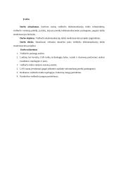 Viešbučio telekomunikacijų tinklo modernizavimo projektas 2 puslapis