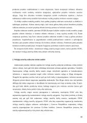 Viešųjų sutarčių sudarymas ir rengimas 20 puslapis