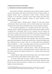 Viešųjų sutarčių sudarymas ir rengimas 3 puslapis