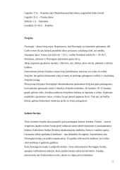 Vietovės X turistinio patrauklumo pokyčiai Klaipėdos apskrityje 11 puslapis