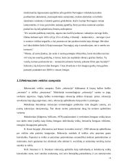 Vietovės X turistinio patrauklumo pokyčiai Klaipėdos apskrityje 14 puslapis