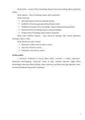 Vietovės X turistinio patrauklumo pokyčiai Klaipėdos apskrityje 3 puslapis