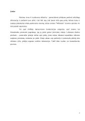 "Wikileaks" naujienų rėmimas Lietuvos bei užsienio žiniasklaidoje 2 puslapis