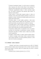 "Wikileaks" naujienų rėmimas Lietuvos bei užsienio žiniasklaidoje 12 puslapis