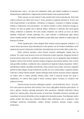 "Wikileaks" naujienų rėmimas Lietuvos bei užsienio žiniasklaidoje 16 puslapis