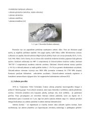 Stogų su asbestine danga rekonstrukcijos strateginis modeliavimas 12 puslapis