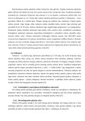 Stogų su asbestine danga rekonstrukcijos strateginis modeliavimas 14 puslapis