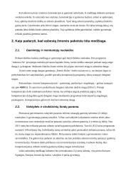 Stogų su asbestine danga rekonstrukcijos strateginis modeliavimas 20 puslapis