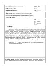 Stogų su asbestine danga rekonstrukcijos strateginis modeliavimas 4 puslapis