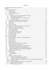 Stogų su asbestine danga rekonstrukcijos strateginis modeliavimas 6 puslapis