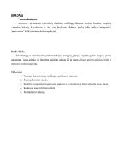 Stogų su asbestine danga rekonstrukcijos strateginis modeliavimas 9 puslapis