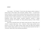 Šildymo ir vedinimo įmonės verslo planas 2 puslapis