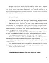 Šildymo ir vedinimo įmonės verslo planas 11 puslapis