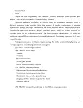 Šildymo ir vedinimo įmonės verslo planas 13 puslapis