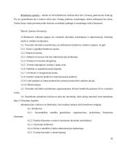 Šildymo ir vedinimo įmonės verslo planas 20 puslapis