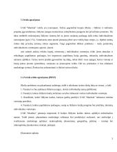 Šildymo ir vedinimo įmonės verslo planas 3 puslapis