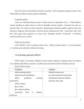 Šildymo ir vedinimo įmonės verslo planas 4 puslapis