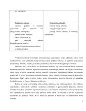 Šildymo ir vedinimo įmonės verslo planas 5 puslapis