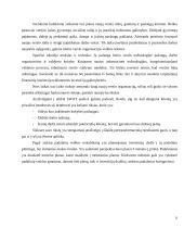 Šildymo ir vedinimo įmonės verslo planas 6 puslapis