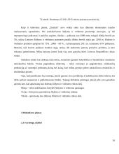 Šildymo ir vedinimo įmonės verslo planas 10 puslapis