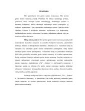 Greito maisto restoranų įvaizdžio vertinimas 20 puslapis