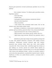 Greito maisto restoranų įvaizdžio vertinimas 5 puslapis