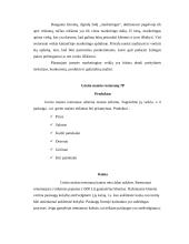 Greito maisto restoranų įvaizdžio vertinimas 6 puslapis