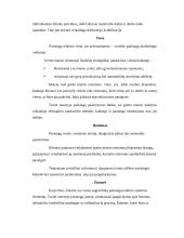 Greito maisto restoranų įvaizdžio vertinimas 7 puslapis