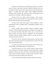 Greito maisto restoranų įvaizdžio vertinimas 9 puslapis