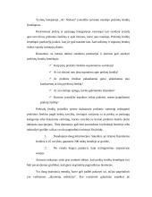 Greito maisto restoranų įvaizdžio vertinimas 10 puslapis